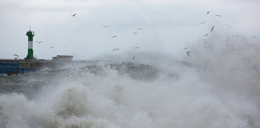 الخسائر الاقتصادية